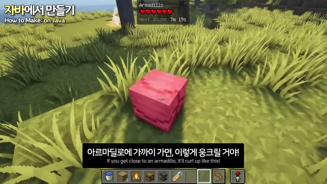 플레이어 옆에서 웅크린 아르마딜로