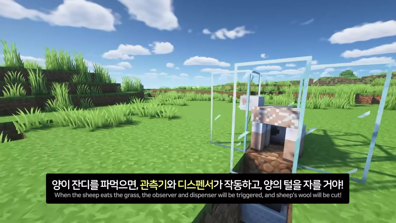 유리 우리에 들어간 양과 아래 수집 장치